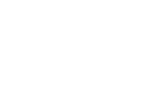 Neurolens